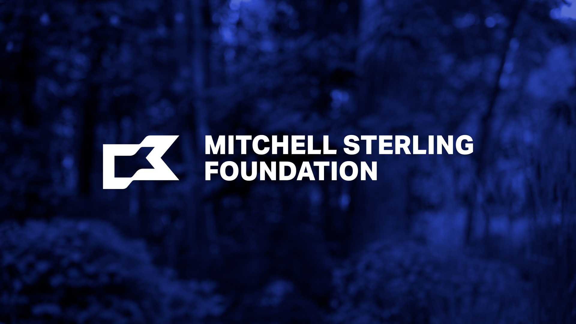 The Mitchell Sterling Foundation horizontal logo lockup.