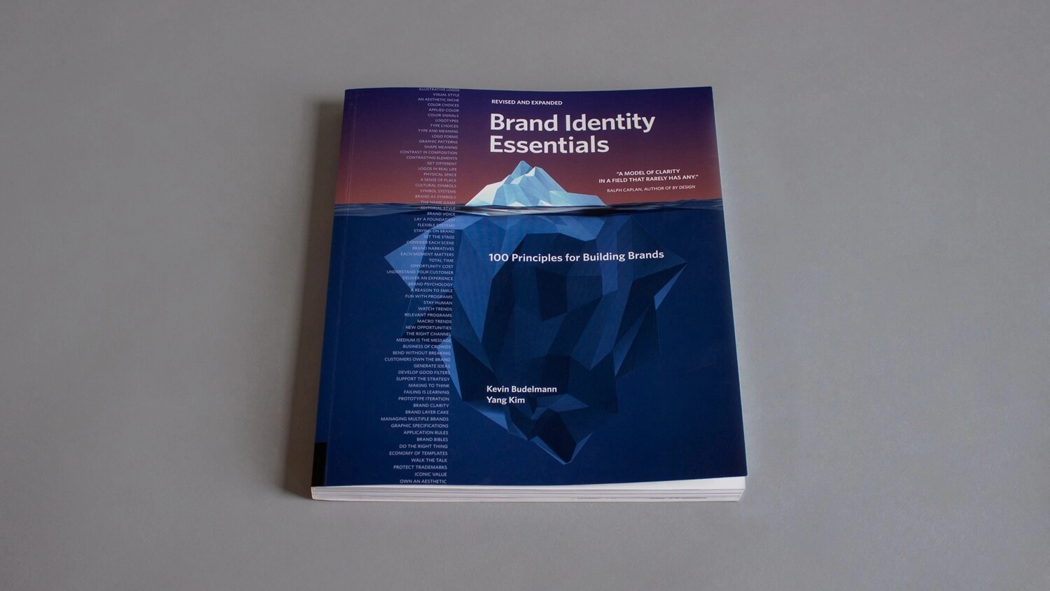 Cover of "Brand Identity Essentials" book featuring an iceberg design. The top shows the title, and the bottom includes author names, set against a dark background.