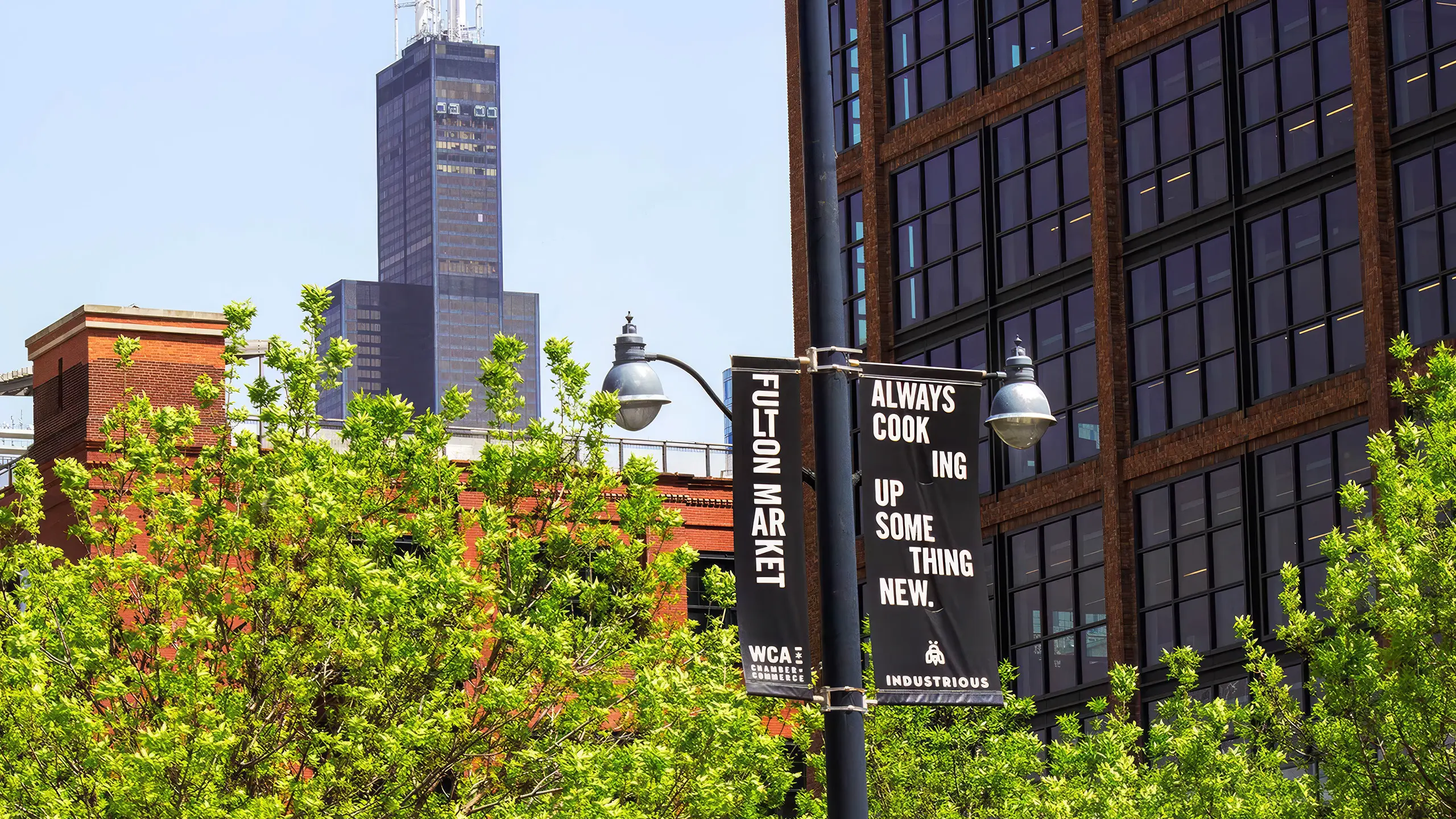 A streetlight with two banners stands among green trees in front of brick buildings with a tall skyscraper in the background under a clear blue sky.